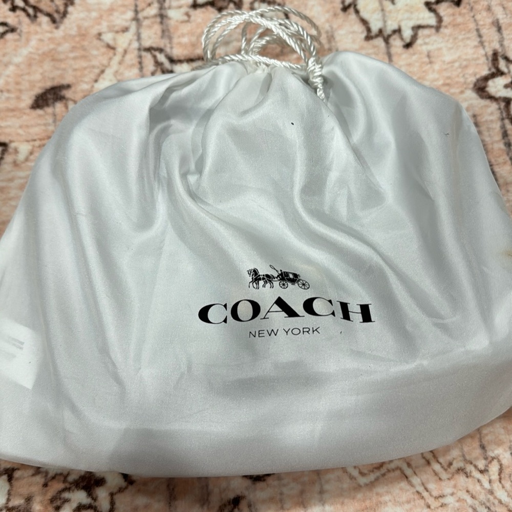 Coach mini tabby 20